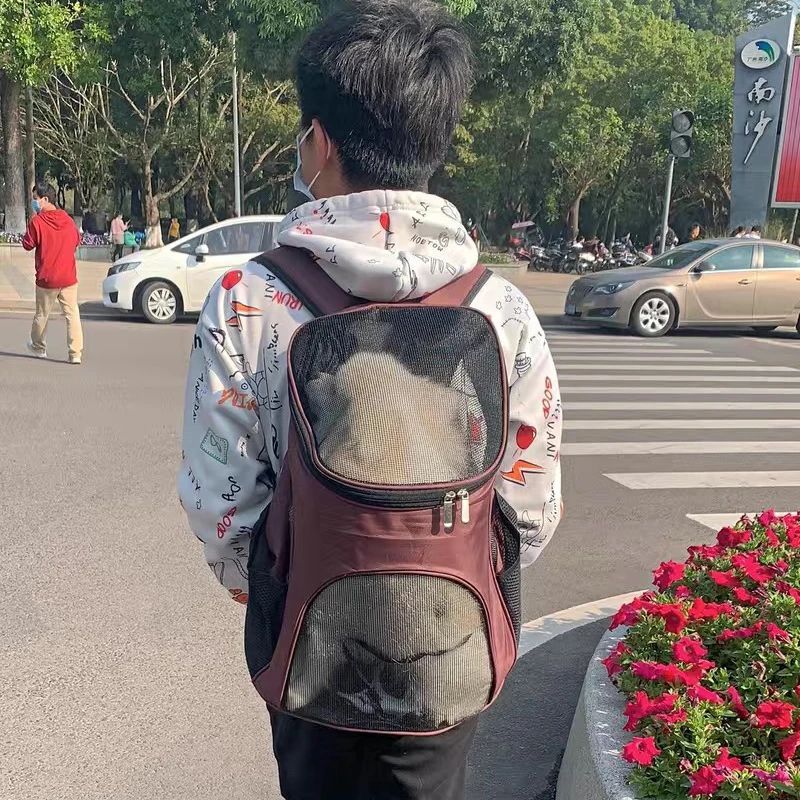 Mochila transportadora transpirable para perros y gatos pequeños - Imagen 9